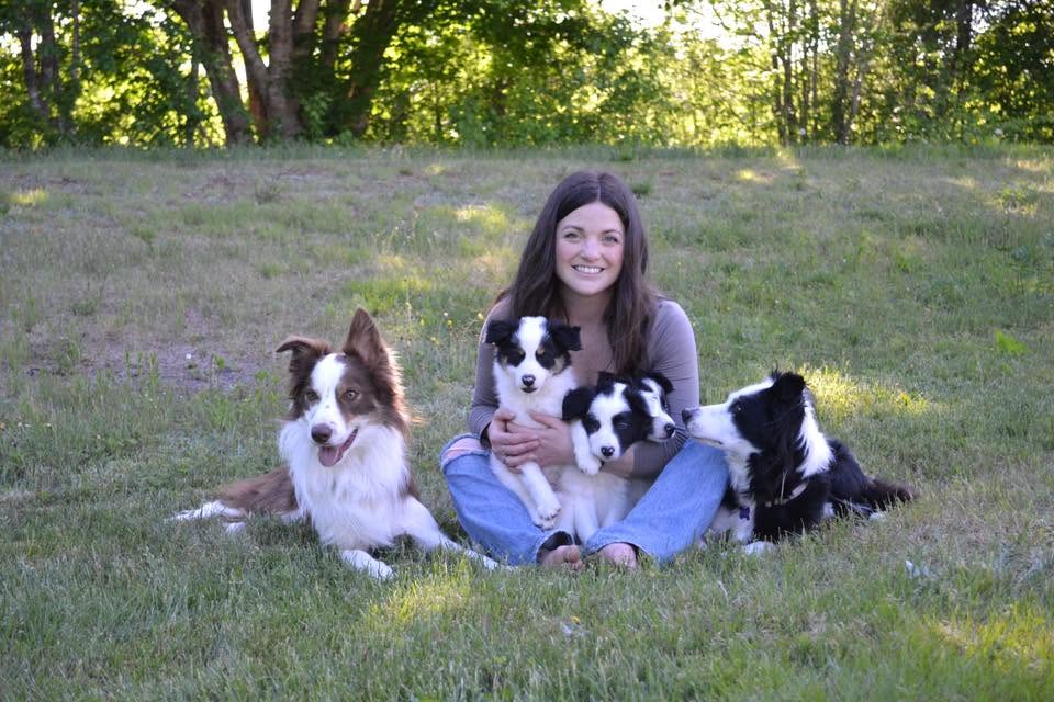 M&M Border Collies