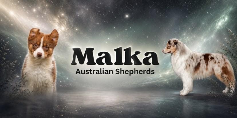 Malka