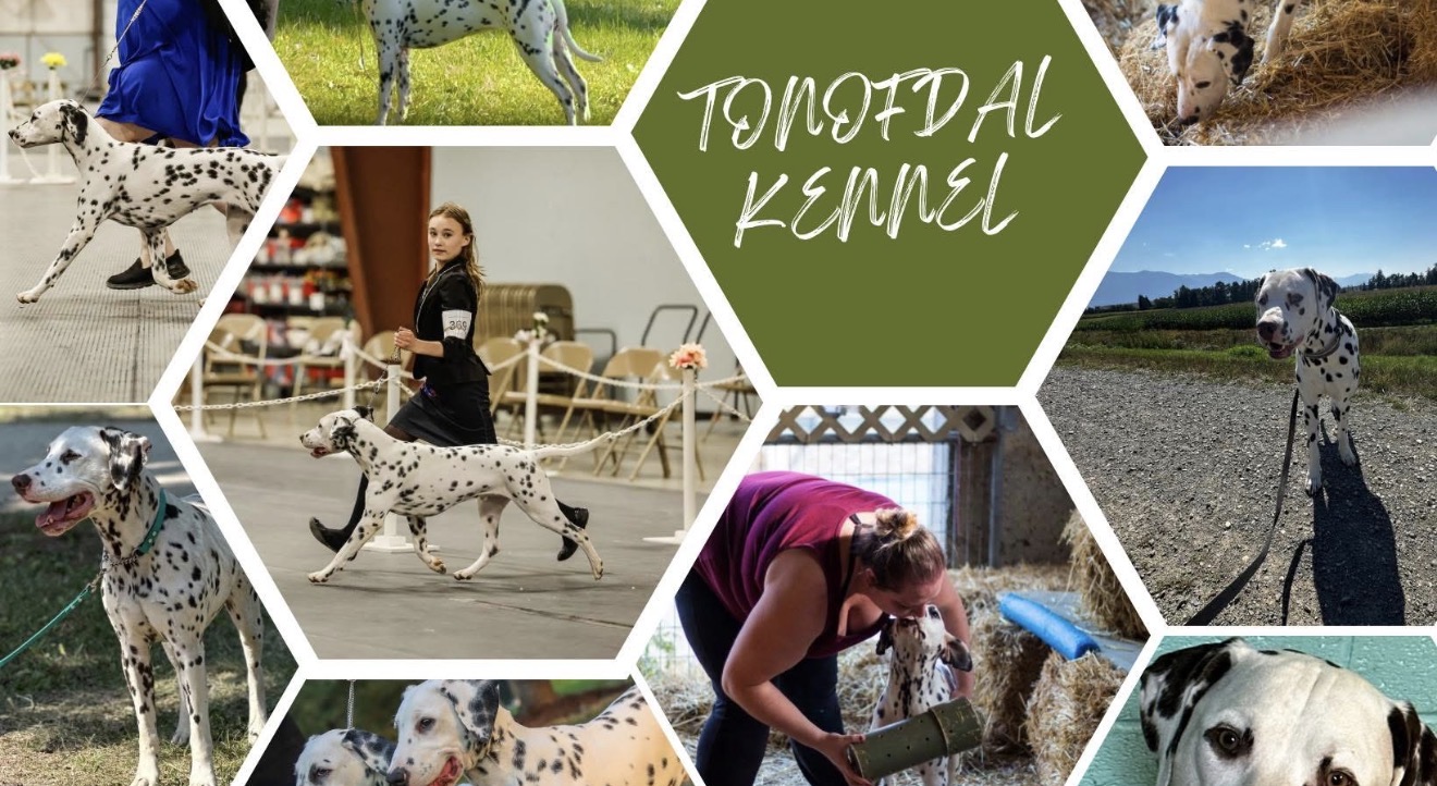 TONOFDAL