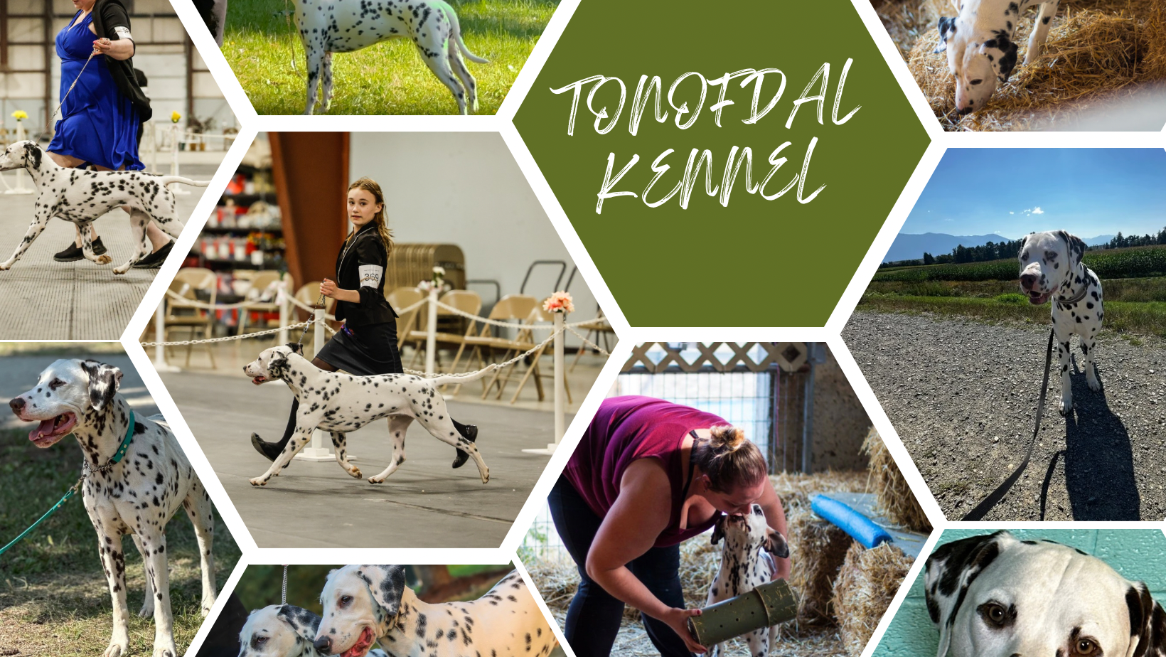 TONOFDAL