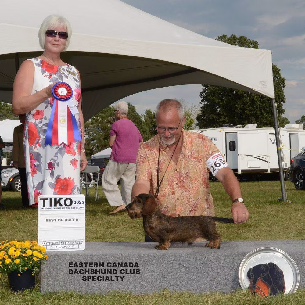 Prelude Kennel