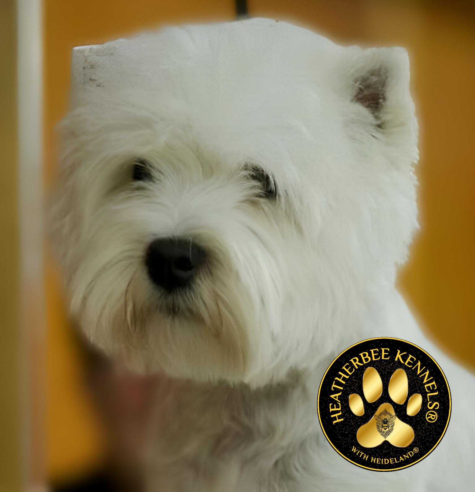 Heatherbee Kennels