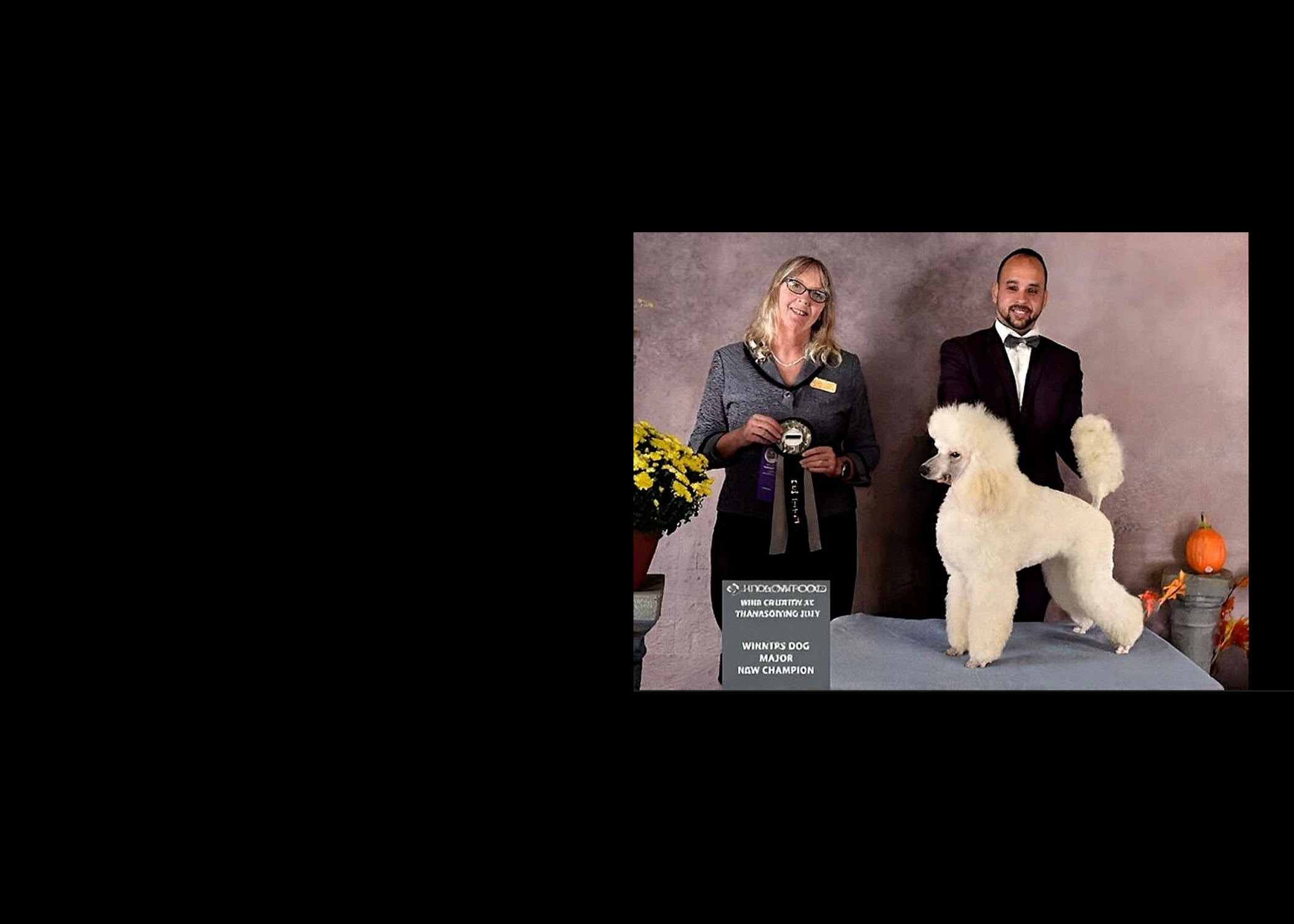 Heidelaind® Poodles