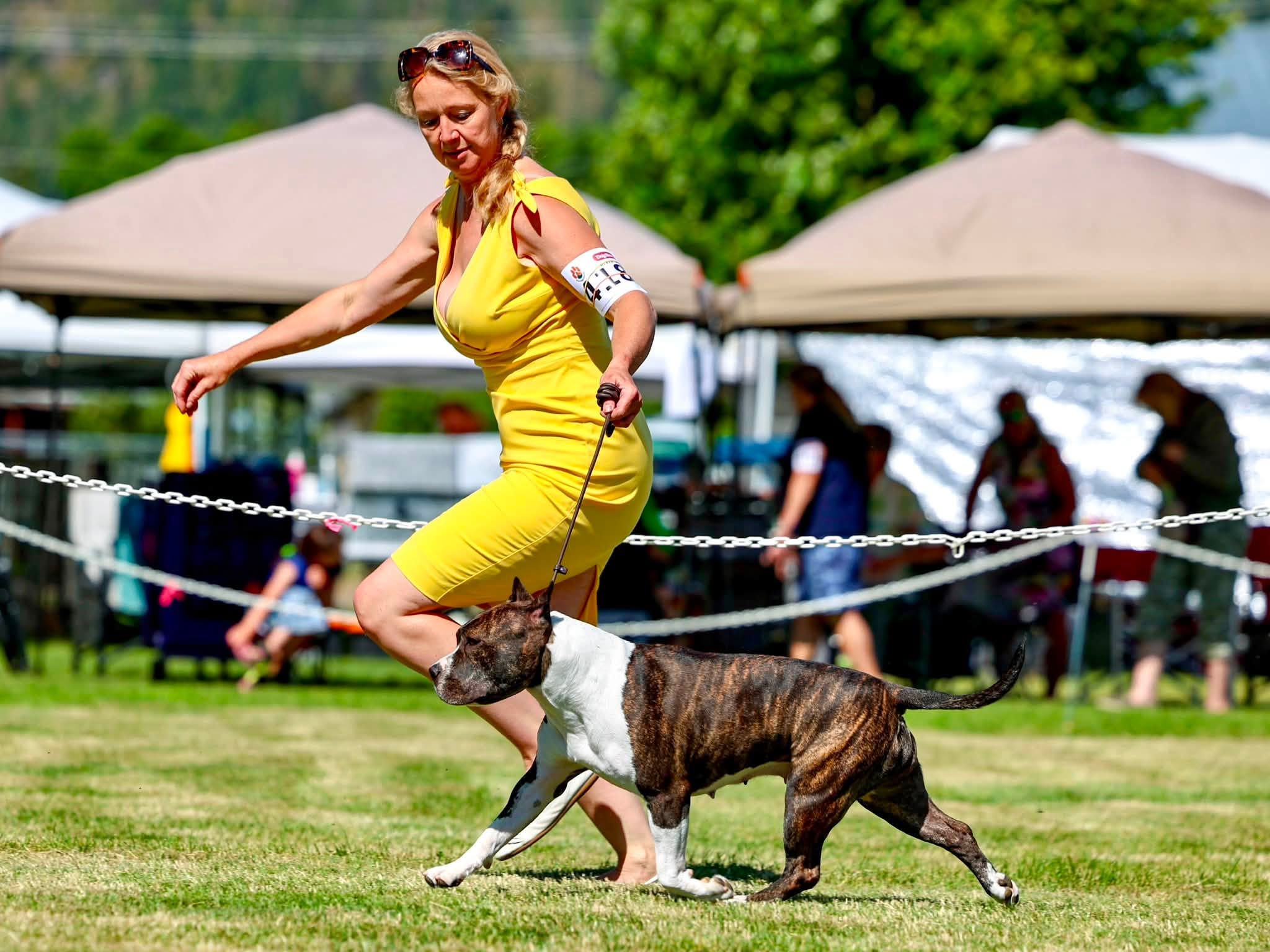 Highwood Kennel
