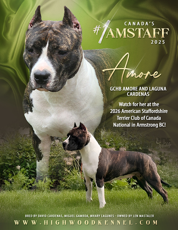Highwood Kennel