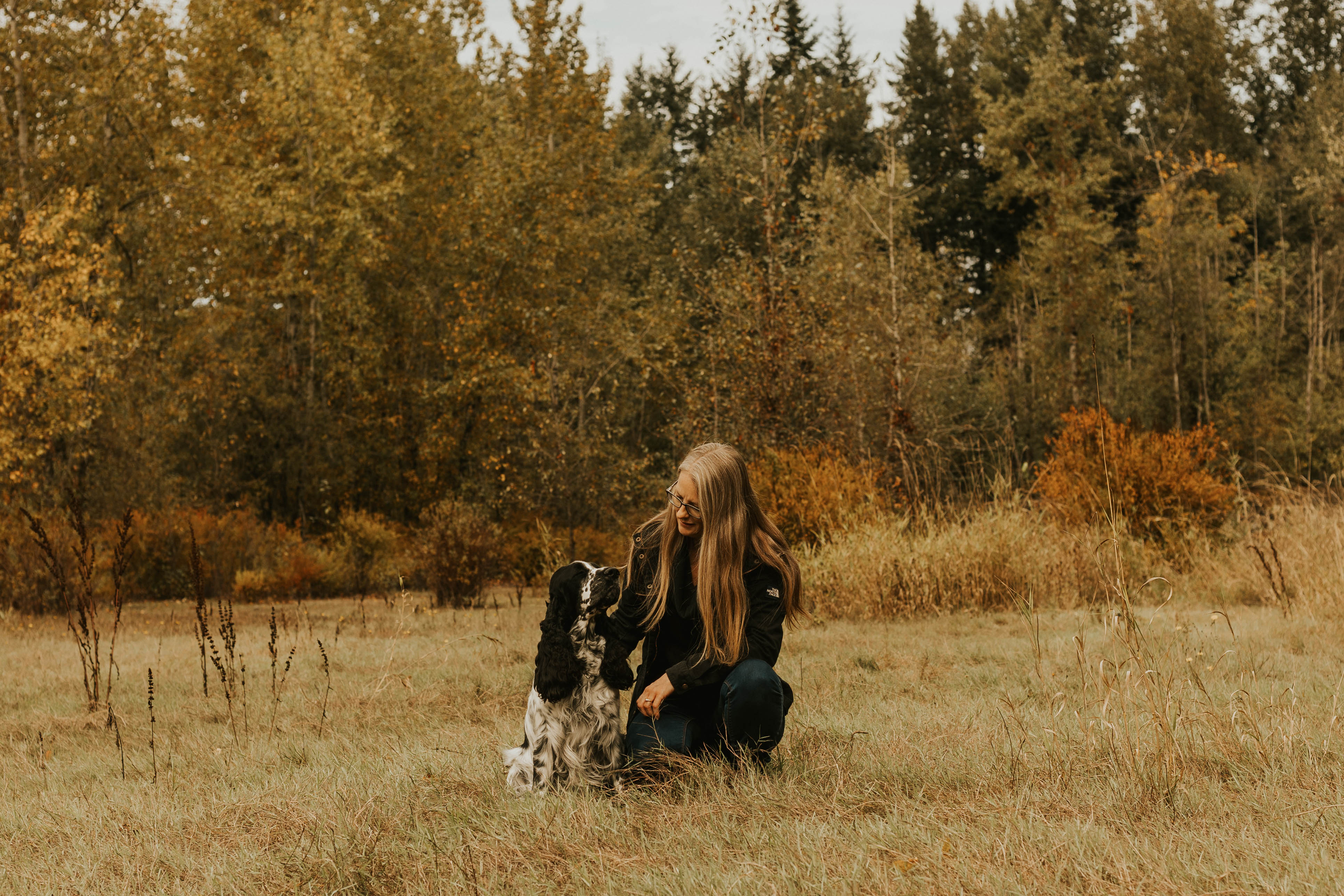 Pureheart Springer Spaniels