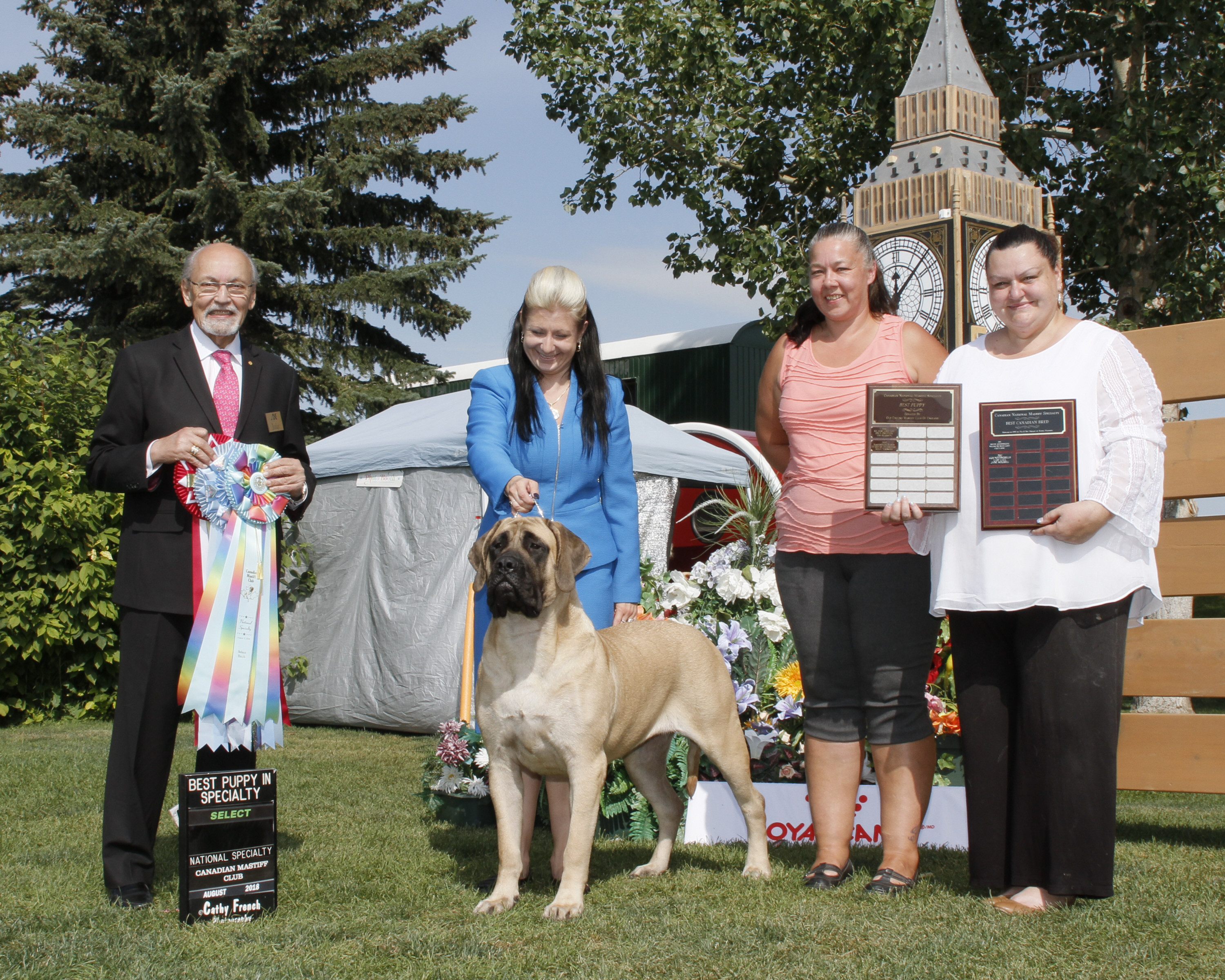 Crucible Mastiffs