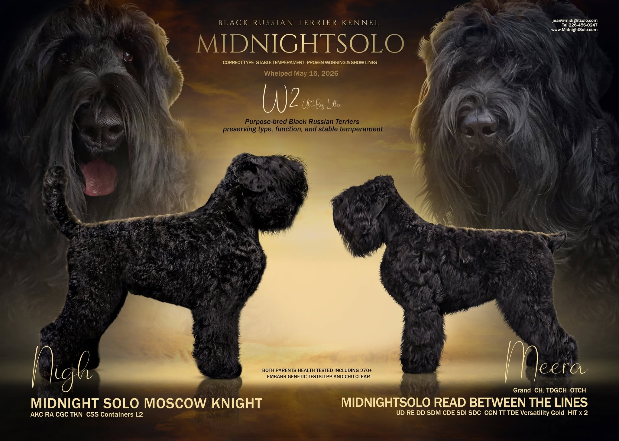 Midnight Solo