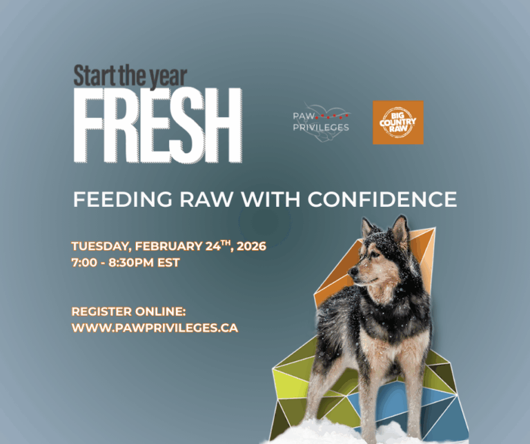 Feeding RAW With Confidence