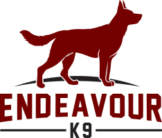 Endeavourk9.com