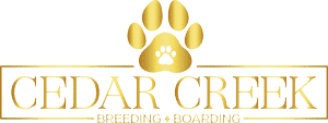 Cedar Creek Kennels & Boarding