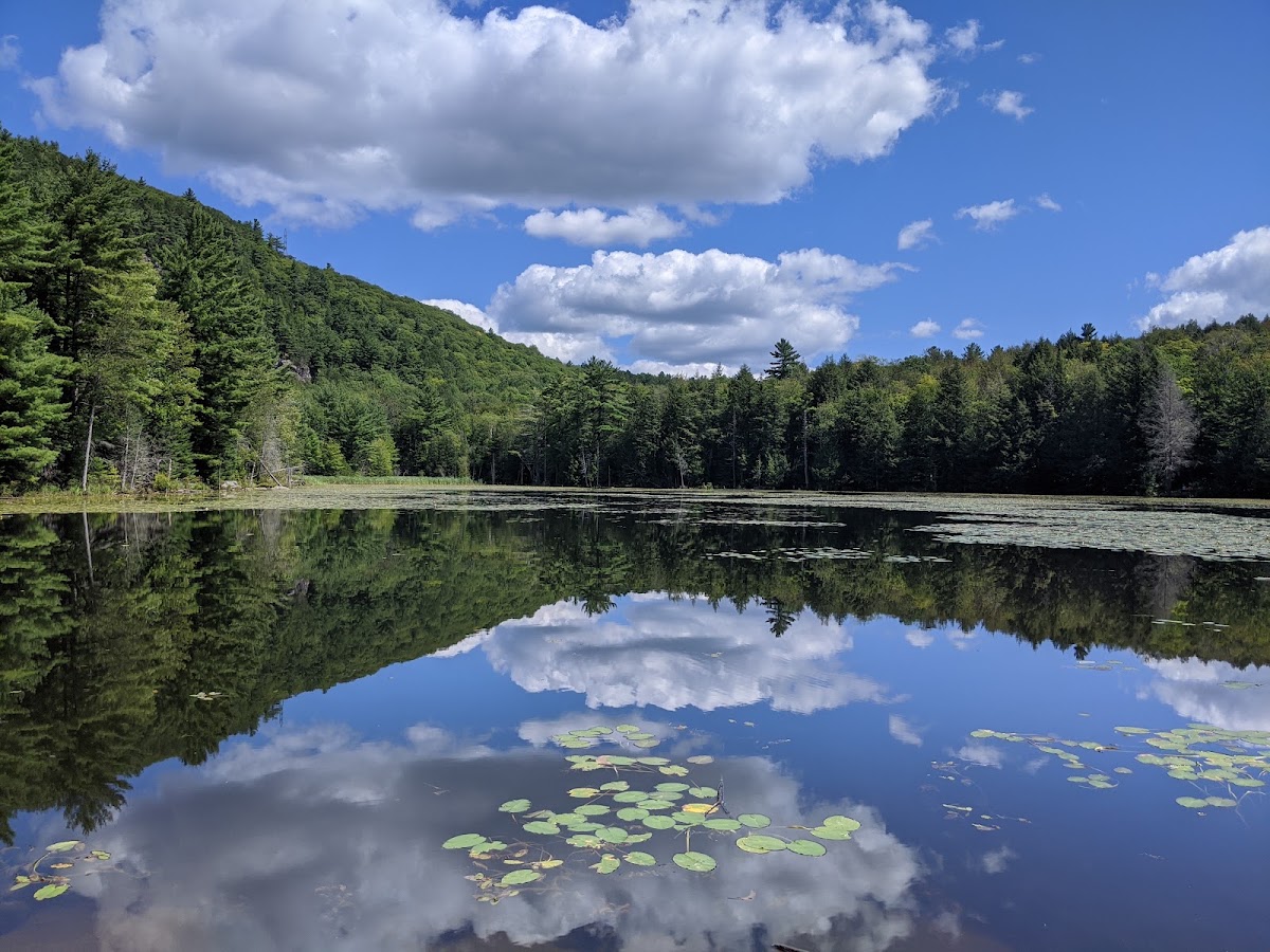 Alfred Kelly Nature Reserve