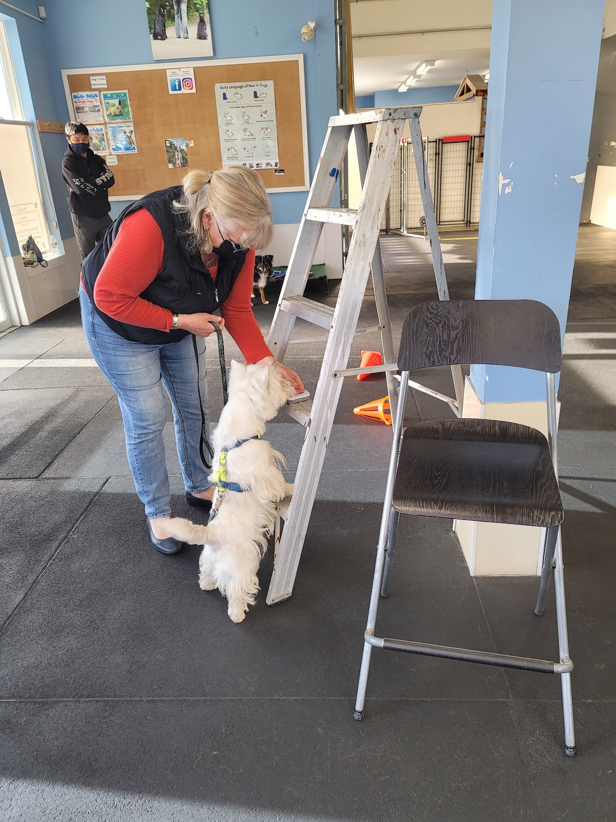 Best Paw Forward Dog Training