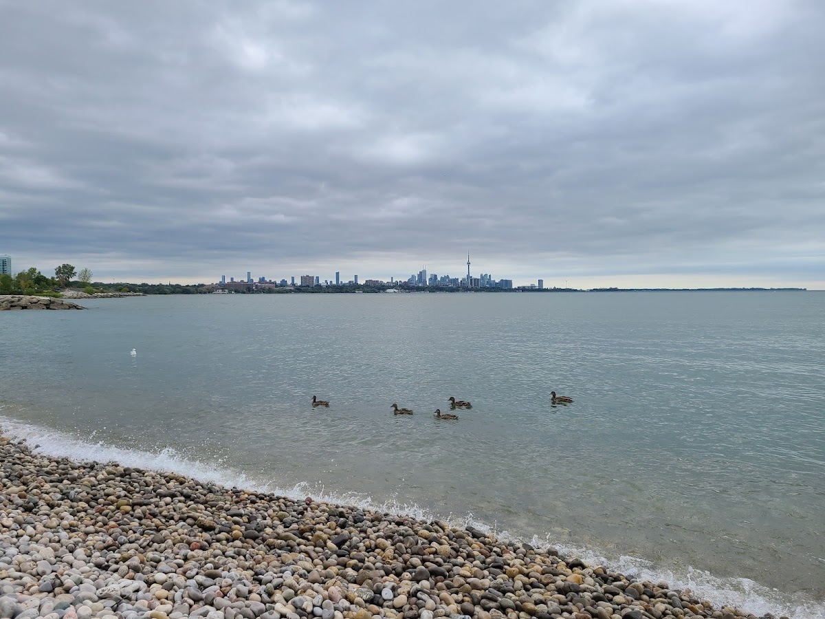 Humber Bay Shores Park