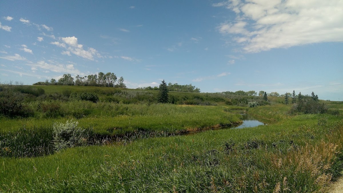 Condie Nature Refuge