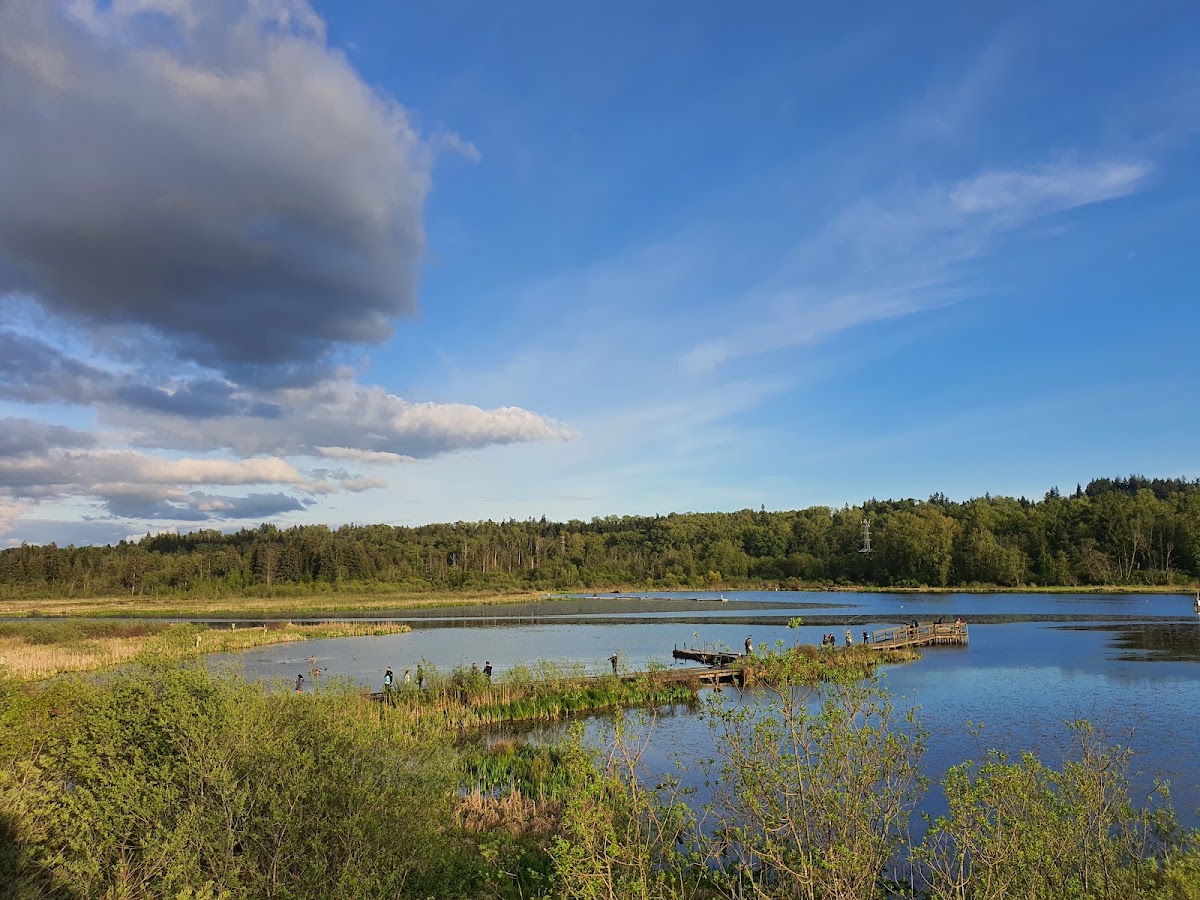 Burnaby Lake Regional Park