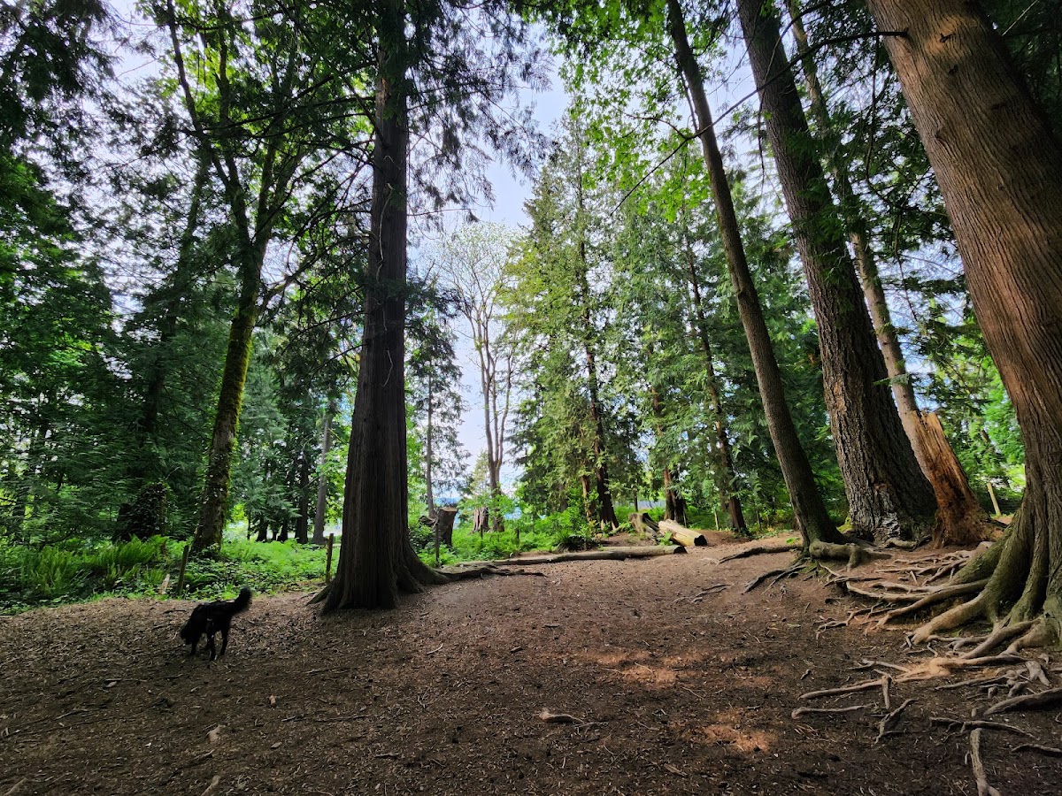 Westview Park Off-Leash Area