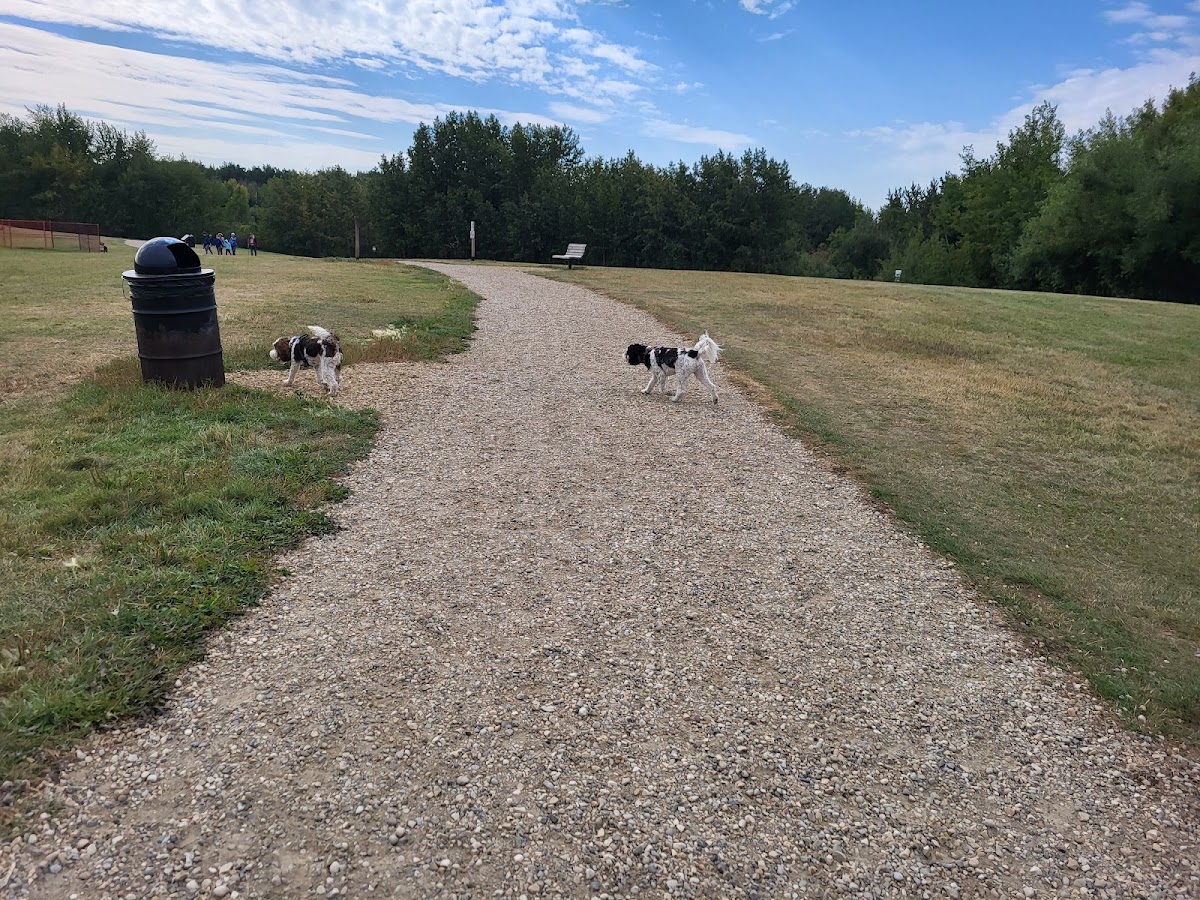 Deermound off-leash dog park