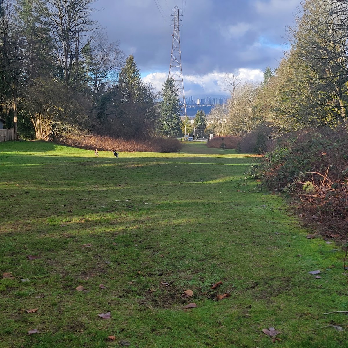 Devon Gardens off leash dog Park