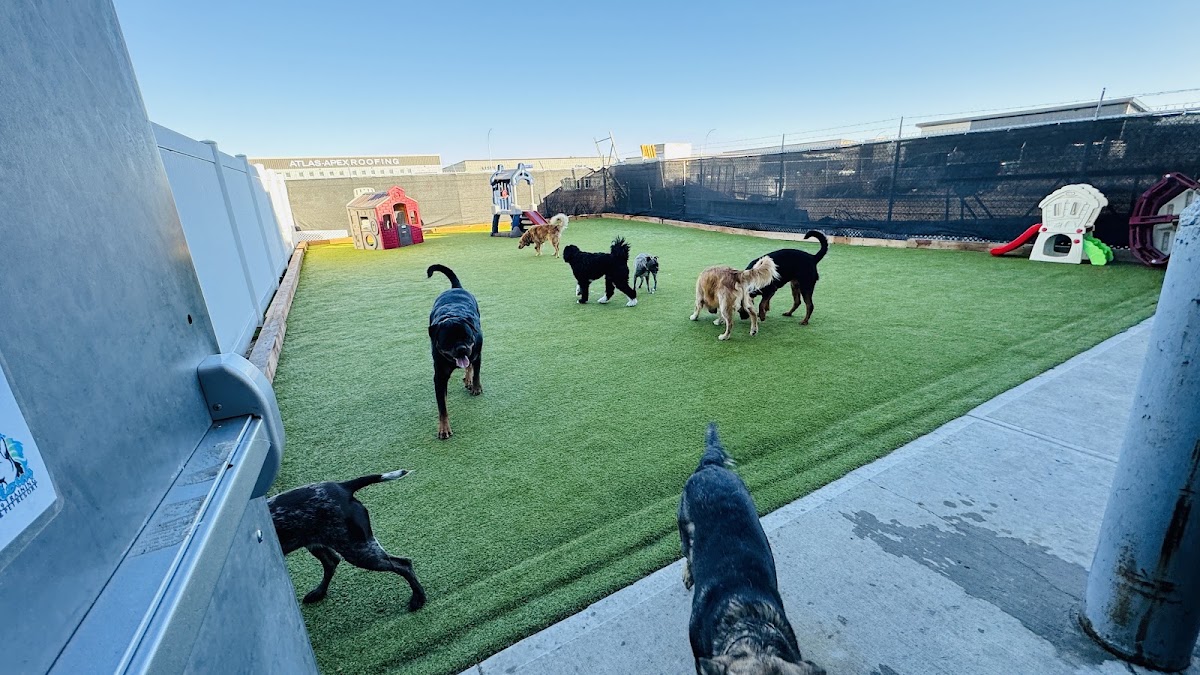 Aloha K9 Training & Pet Resort