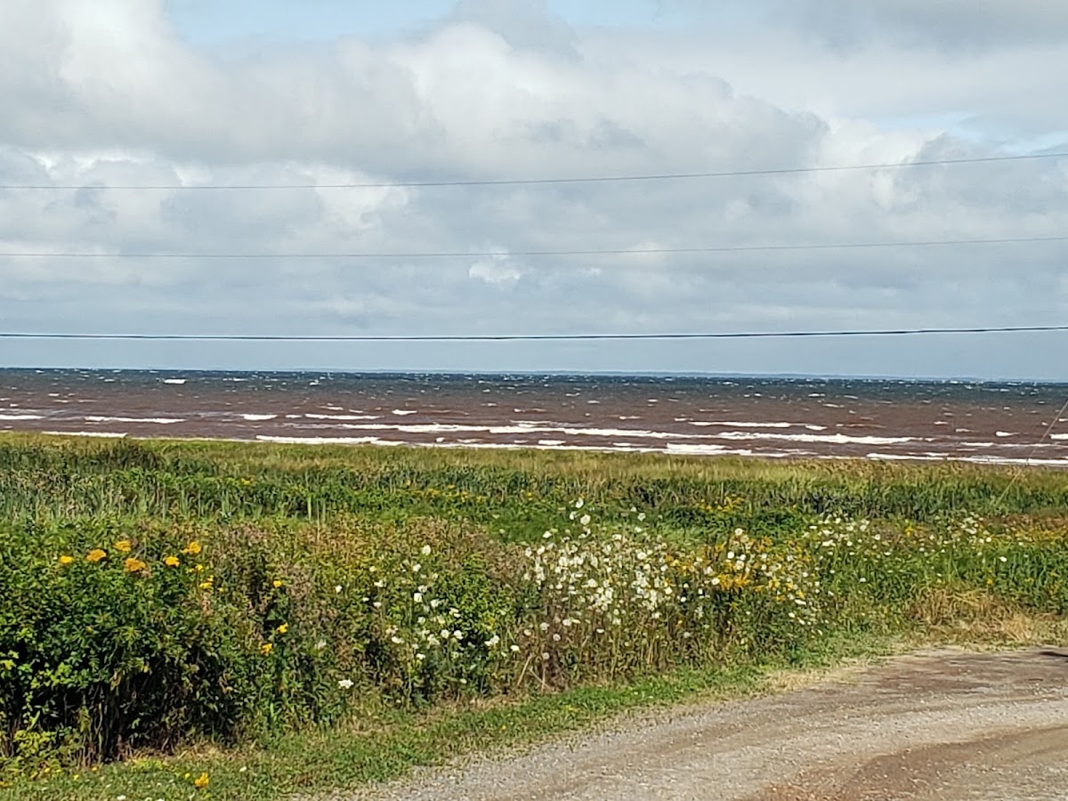 Heather Beach Provincial Park