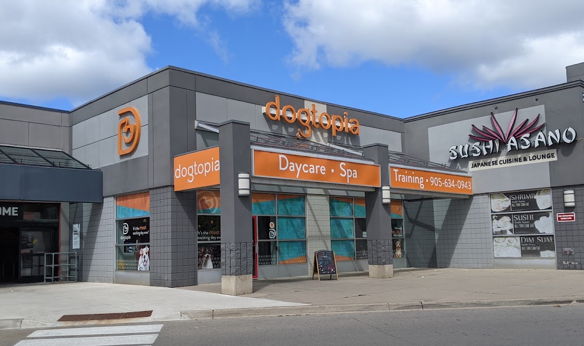 Dogtopia of Burlington