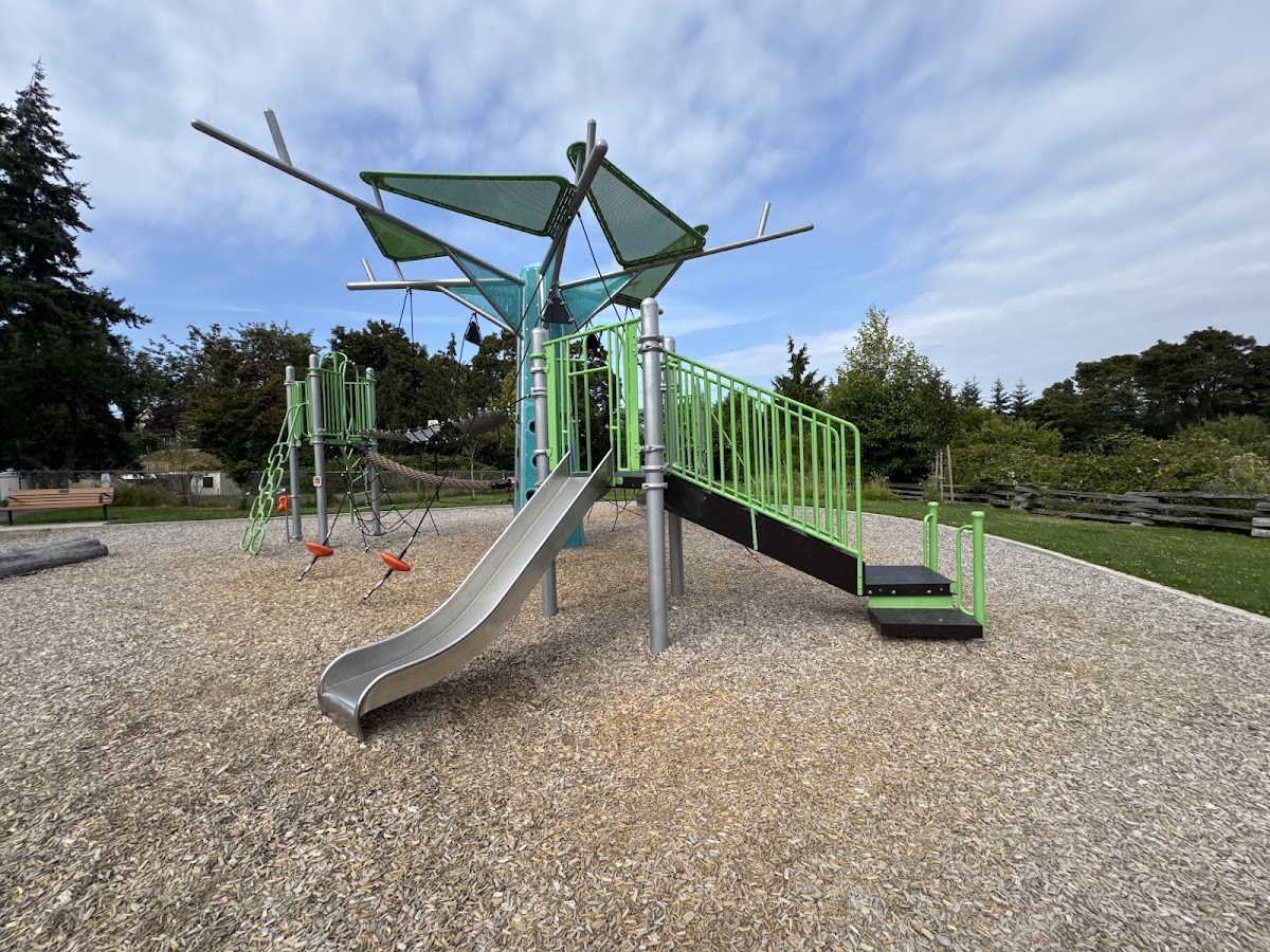 Cecelia Ravine Park