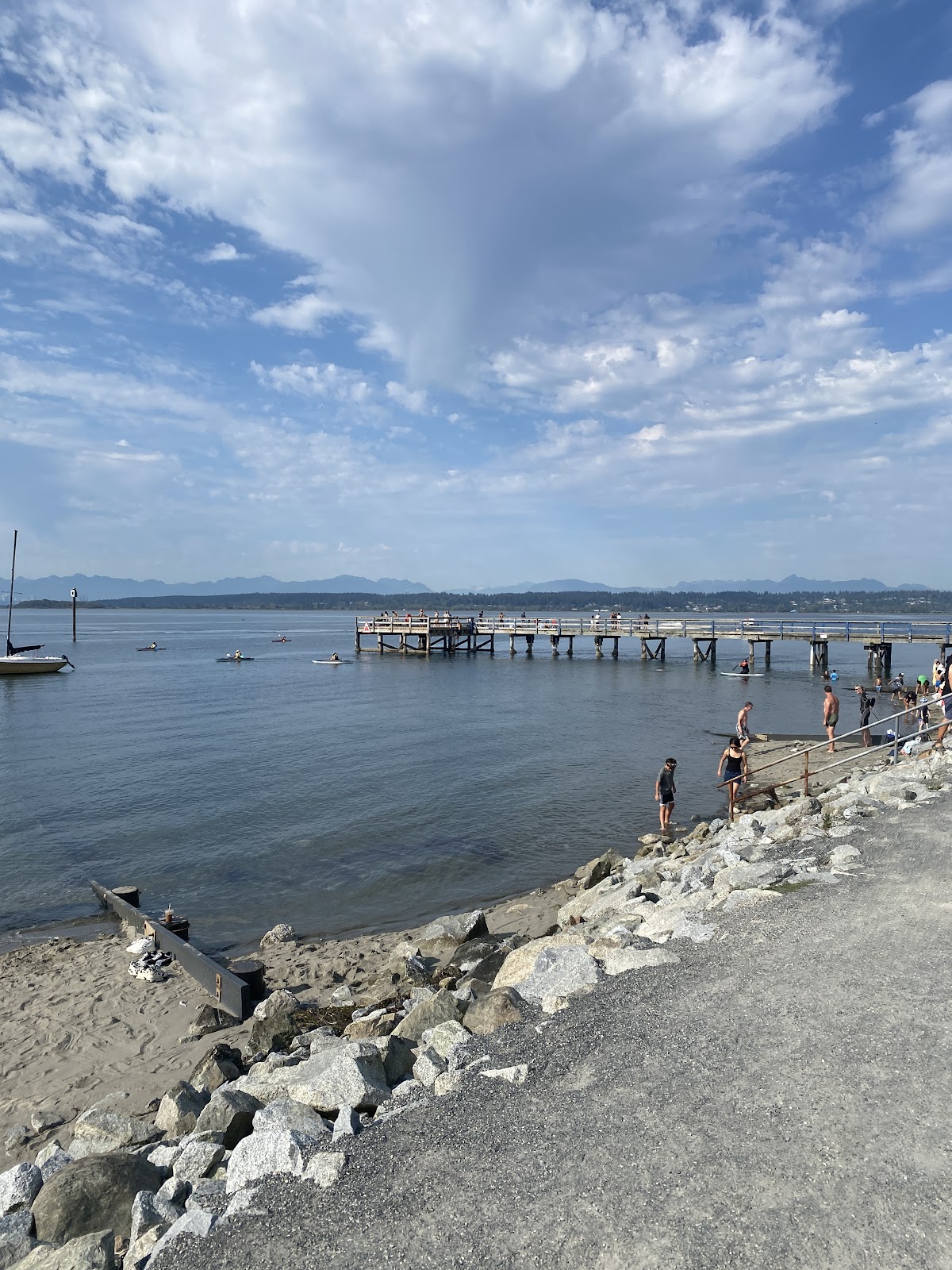 Dog Off-leash Swimming Beach