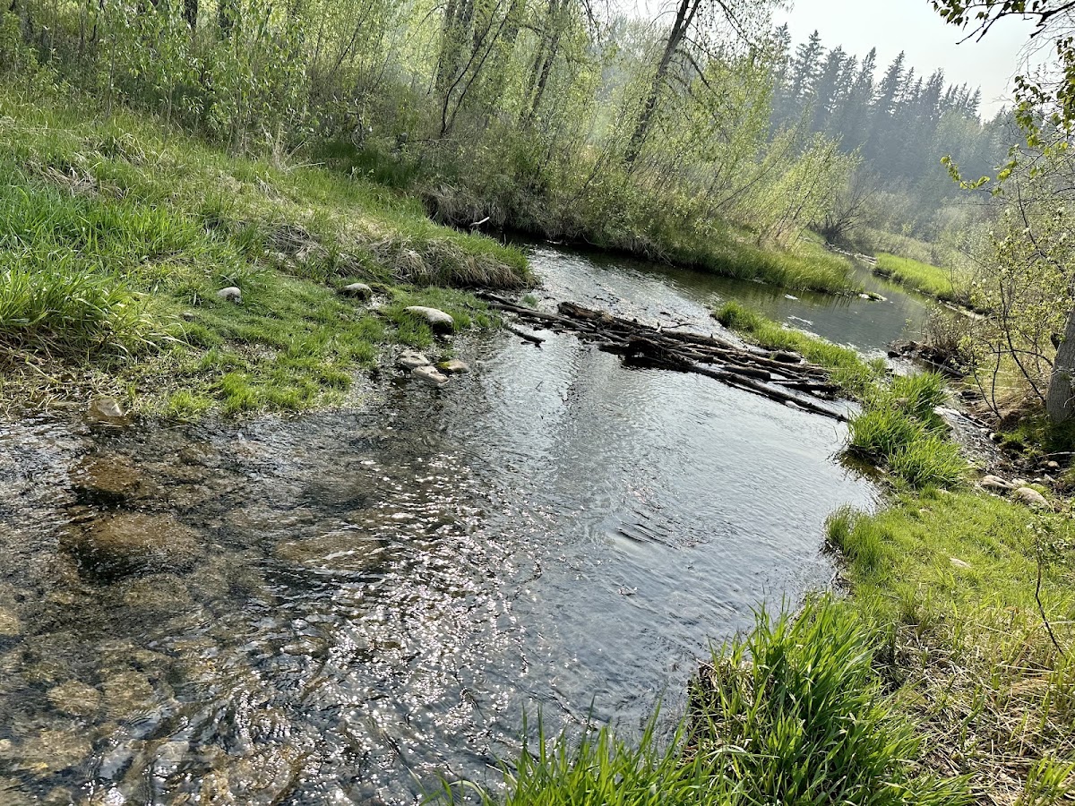 Laudan Park