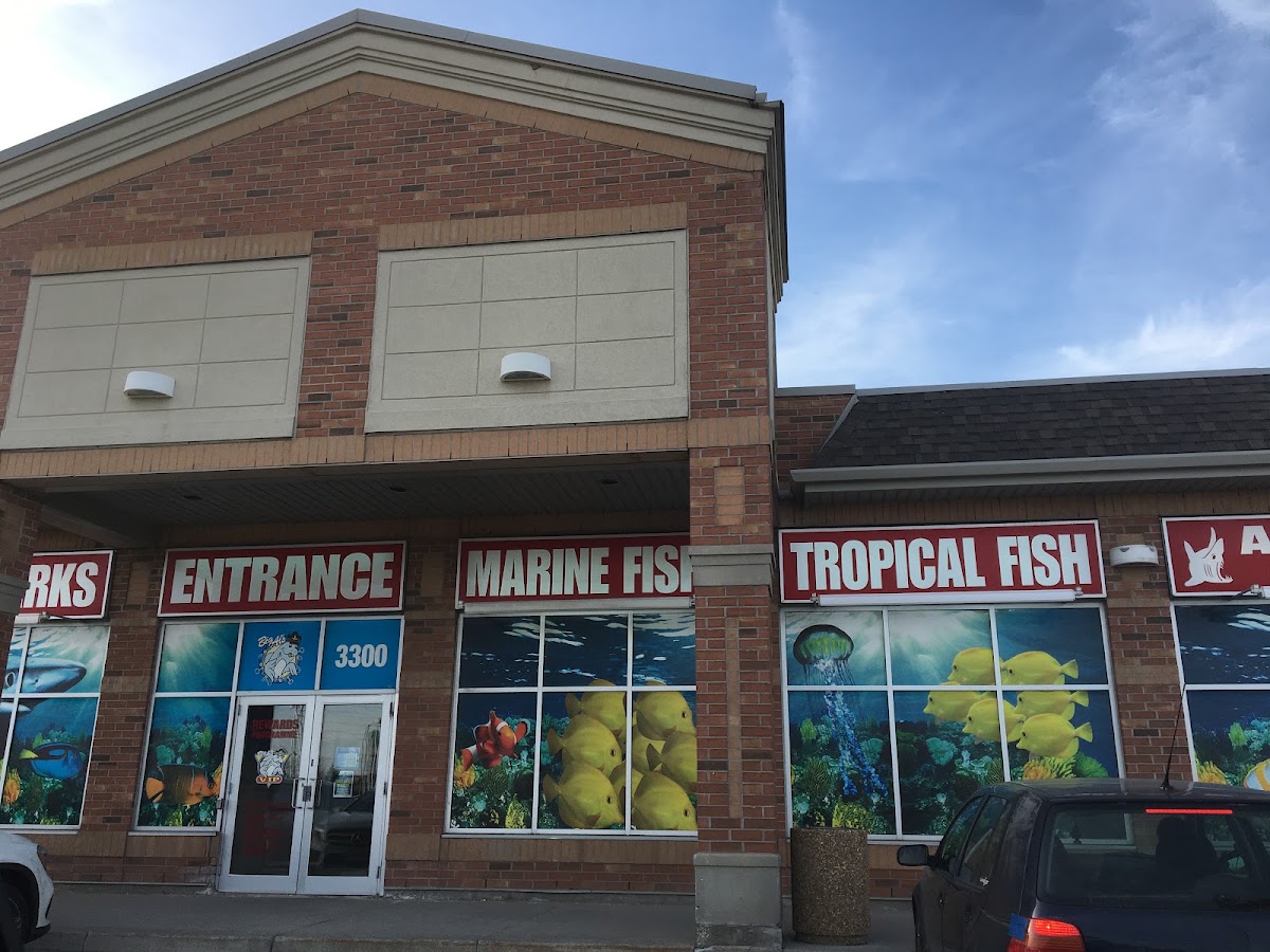 Big Al's Aquarium Supercentres - Vaughan