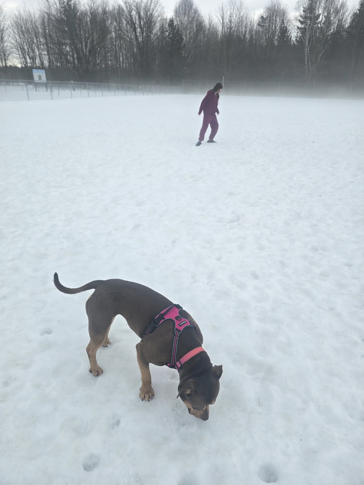 CBO Park