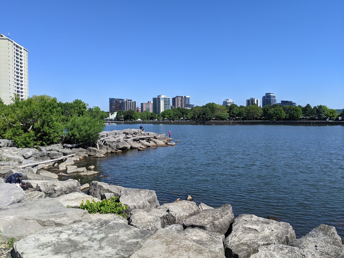 J.C. Saddington Park