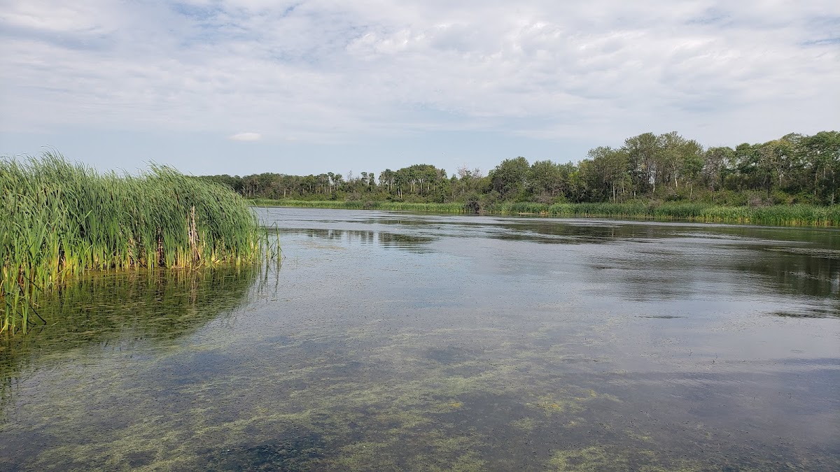 Ravine Ecological Preserve