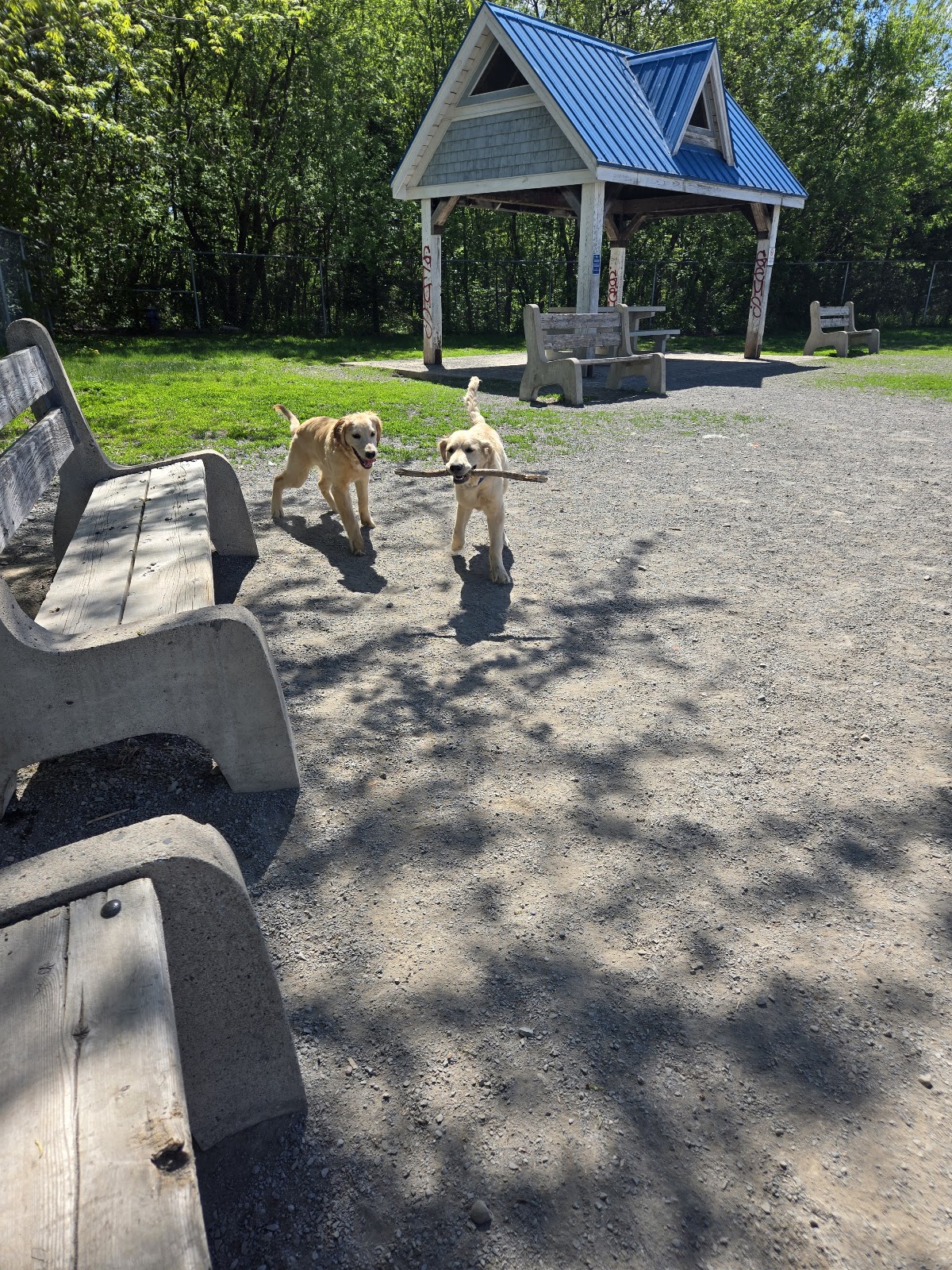 Cityview Dog Park