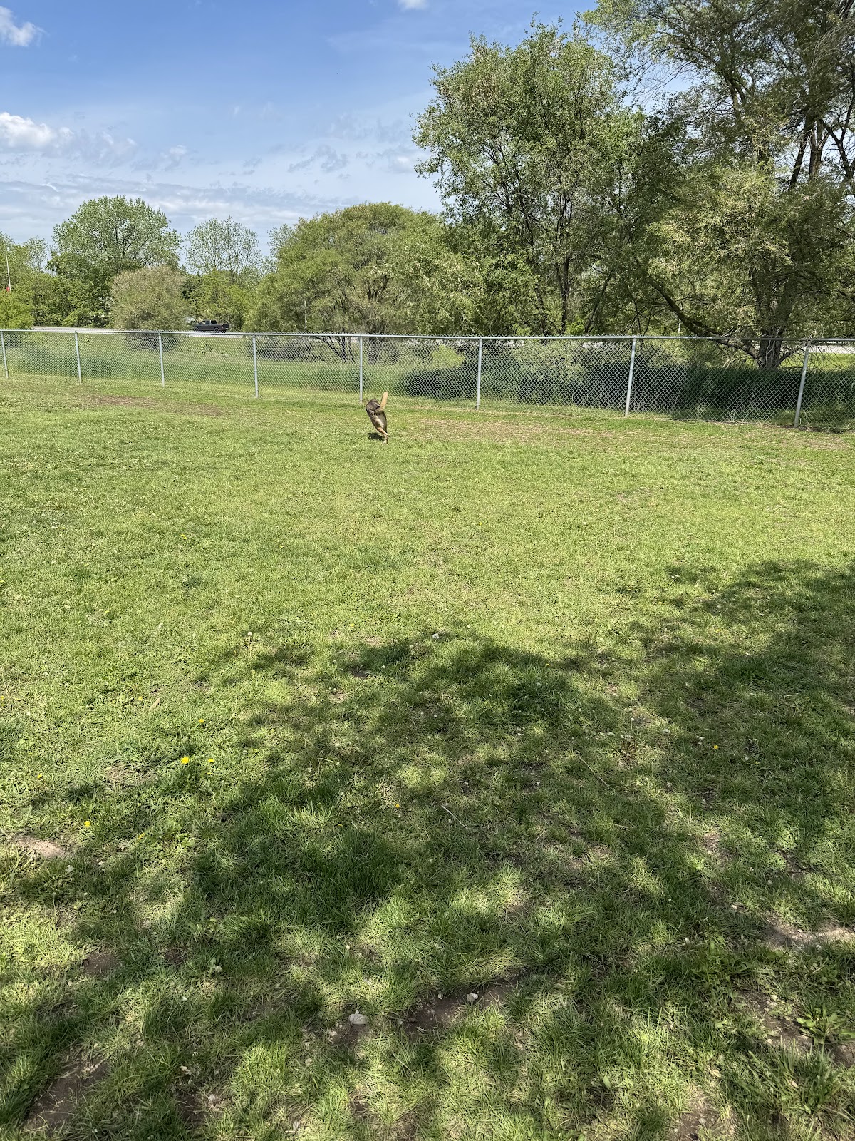 Dogford Park