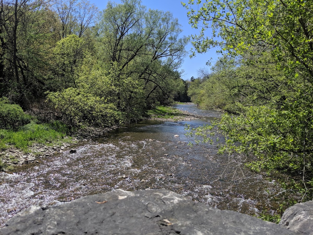 Etobicoke Valley Park