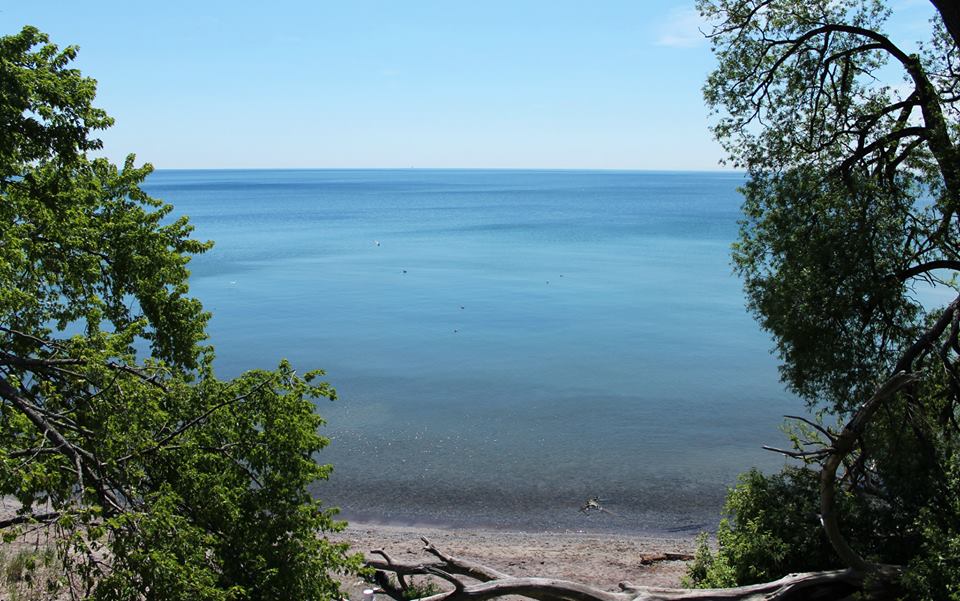 Petticoat Creek Conservation Park