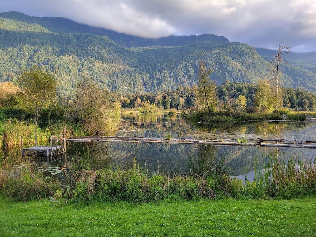 Cheam Lake Wetlands Regional Park