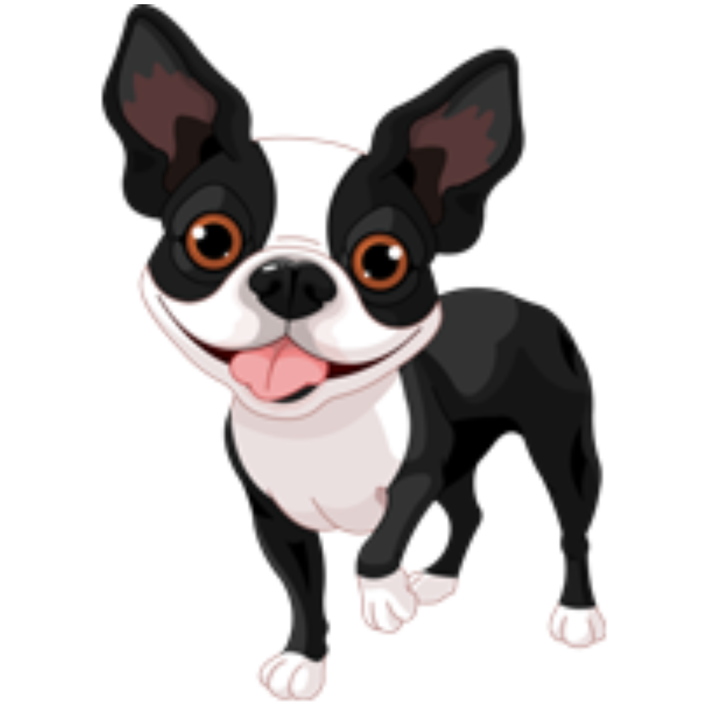 All Seasons Kennels