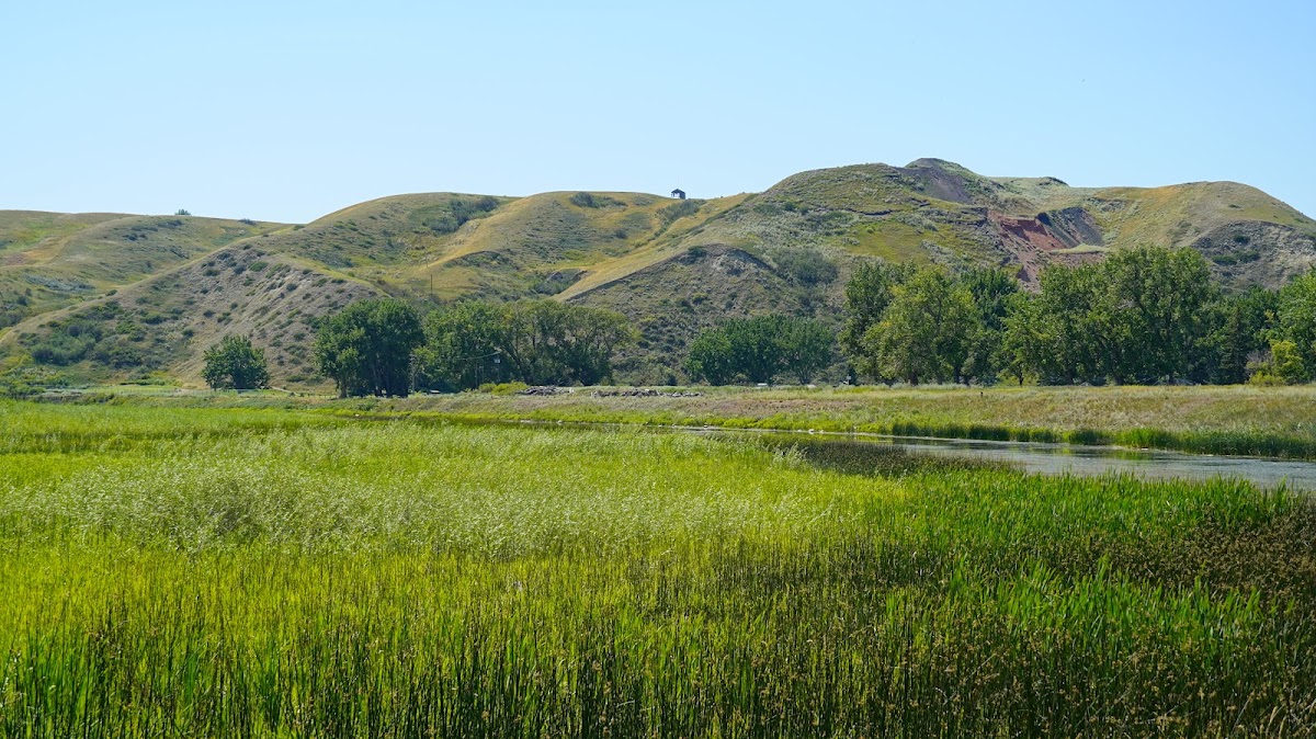 Elizabeth Hall Wetlands