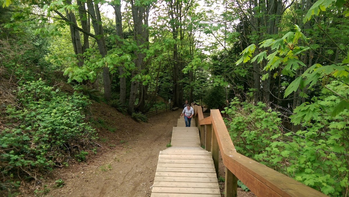 Icarus Drive Park