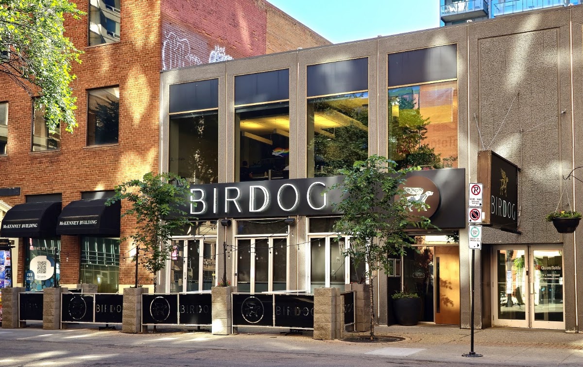 Birdog
