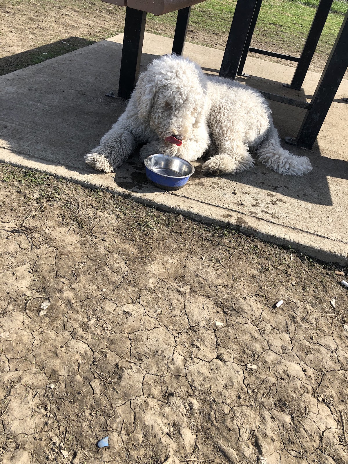 Binet dog park