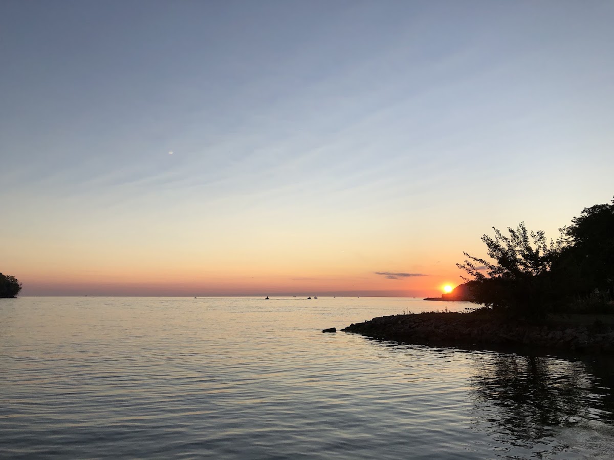 Shanfield Shores Park