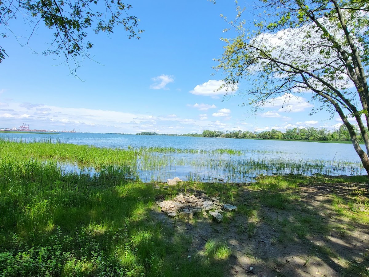 Parc Marie-Victorin