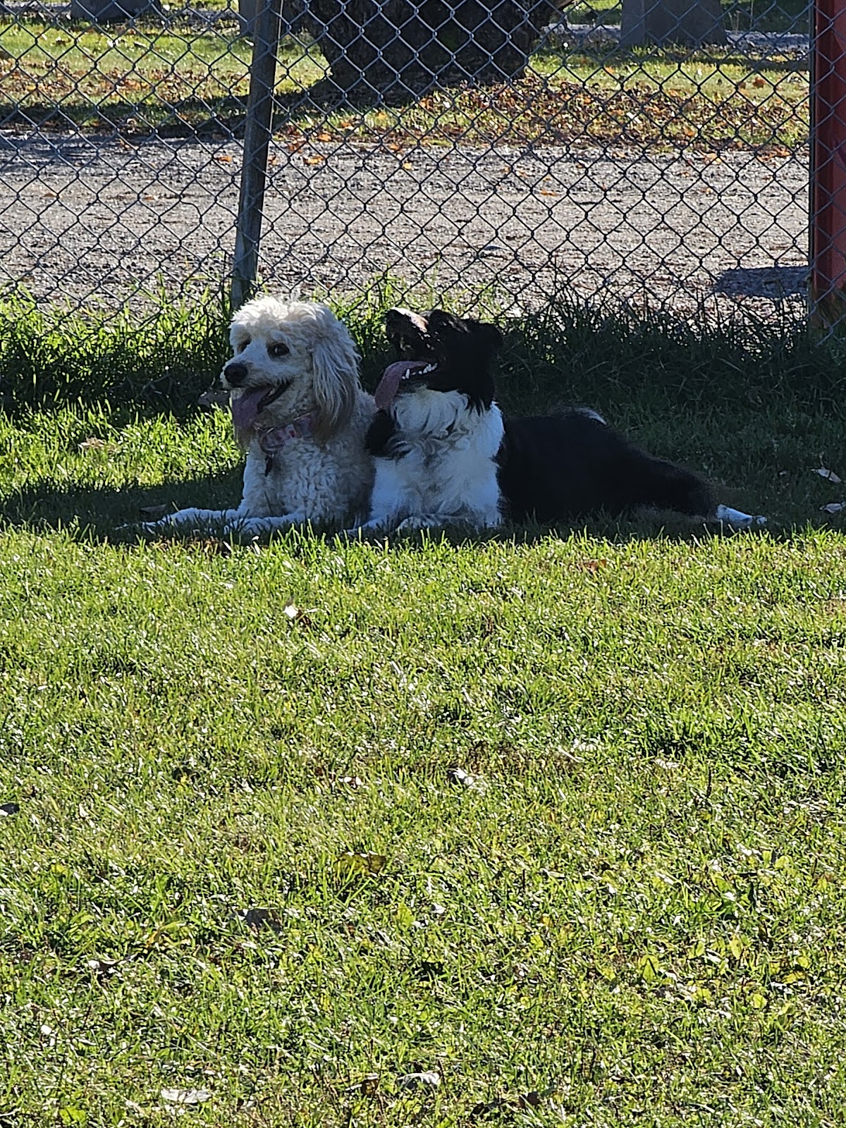 Azilda Dog Park
