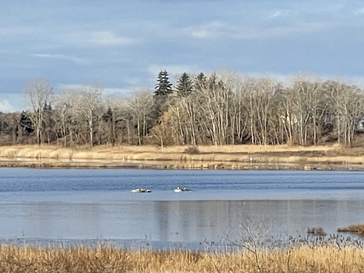 Komoka Provincial Park