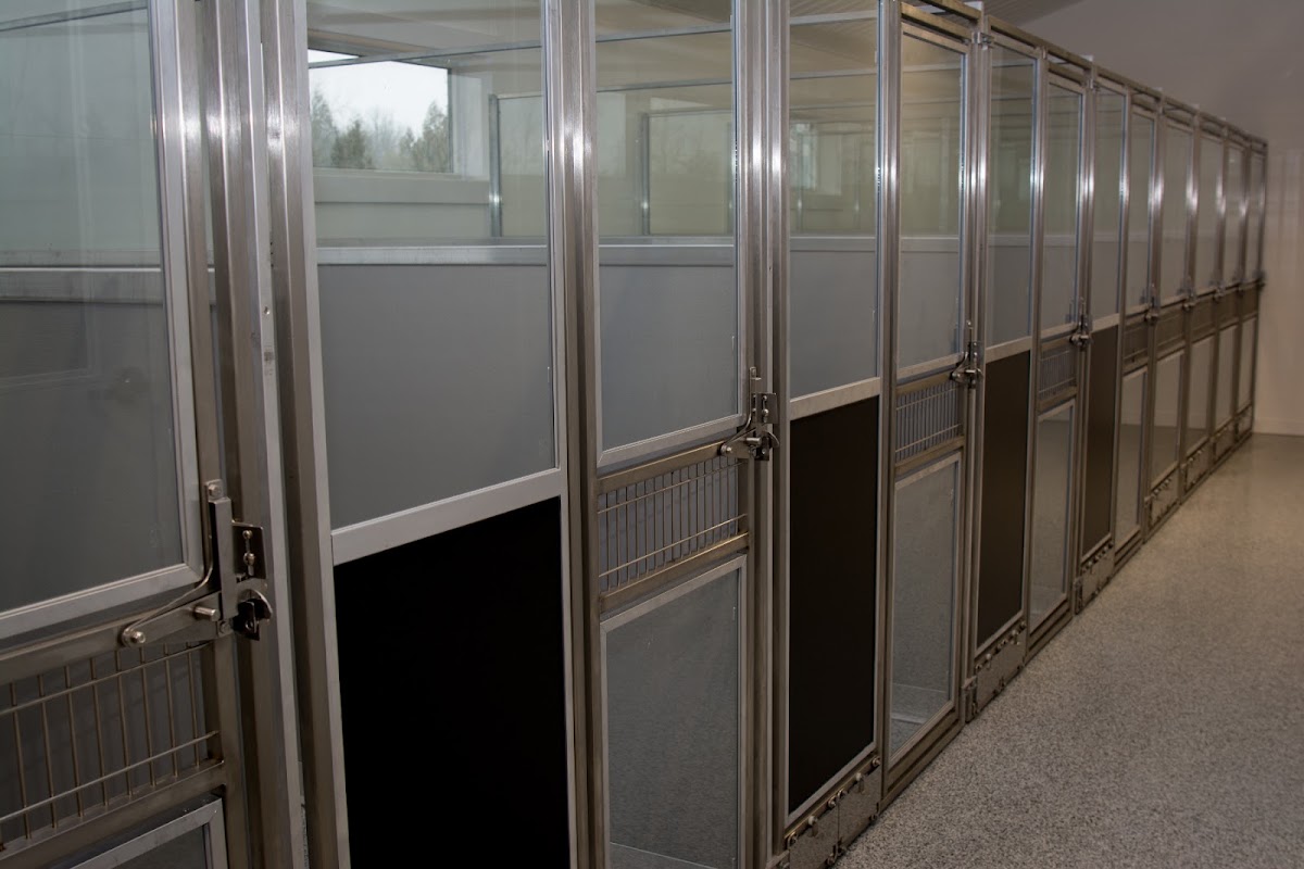 Companions Pet Resort