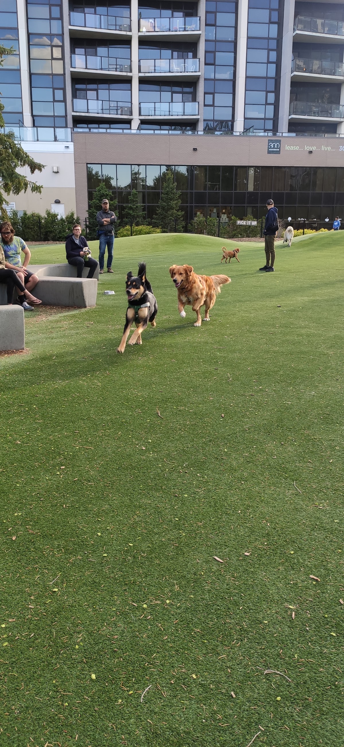 Bonnycastle Dog Park