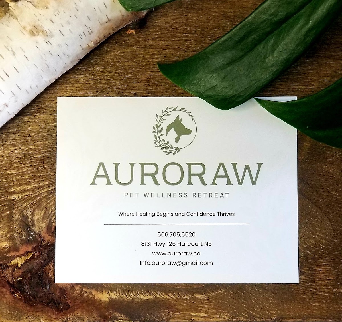 Auroraw Pet Wellness Retreat
